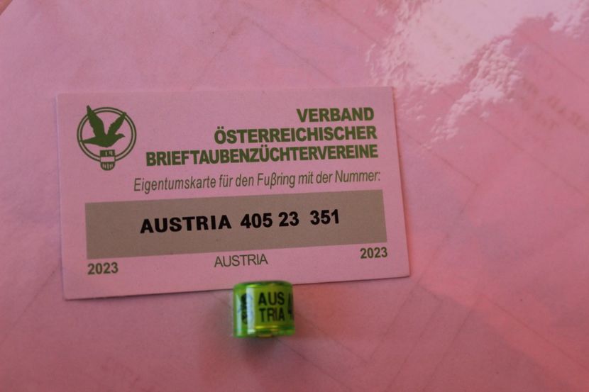 AUSTRIA 2O23 - AUSTRIA