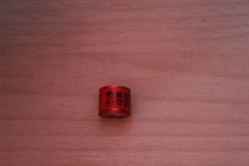 GB 2022 - MAREA BRITANIE GB