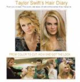 imagesCAF58K4Q - tAyLoR SwIfT