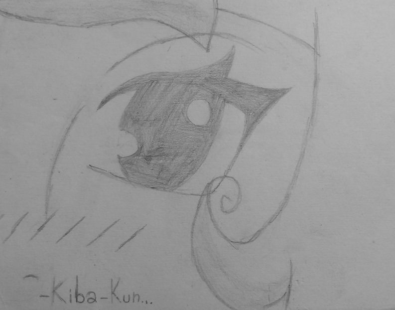 Shina Hayashi (OC) - 2013