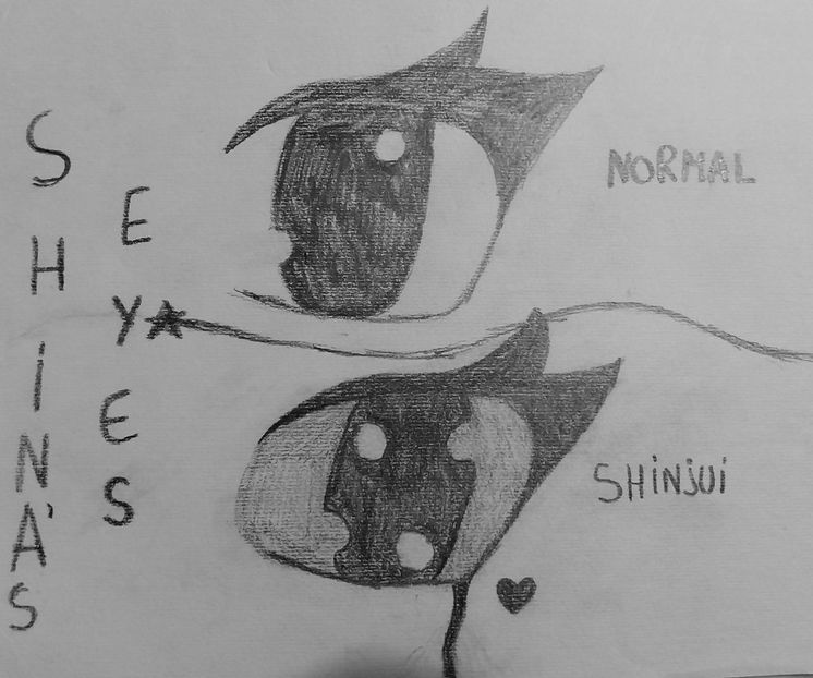 Shina Hayashi (OC) - 2013