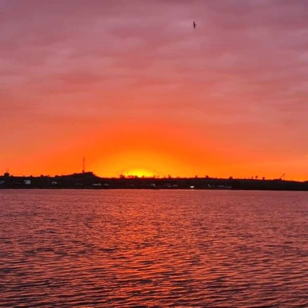 Boldesti grădiștea 2024 - BALTI