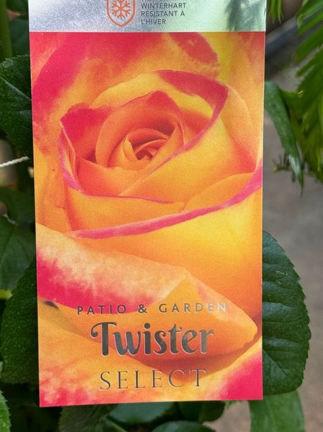 Twister Select 2 - TWISTER SEELECT