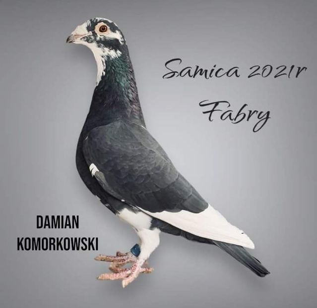  - Nu îmi aparțin 7