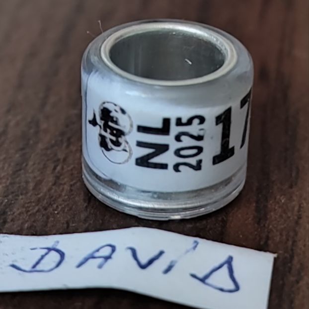 2025-Olanda - Olanda
