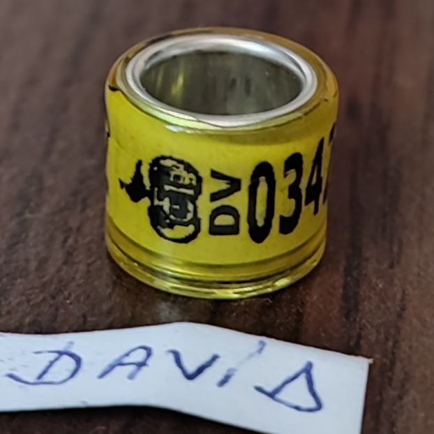 2024-Germania - Germania