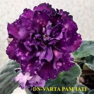 Poză preluată Mădălina - DN- VatraPamiati