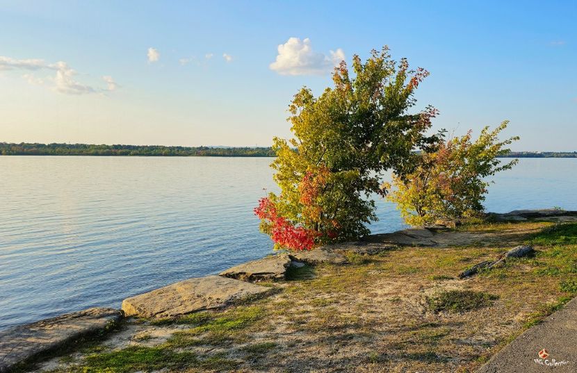Autumn is coming on Ottawa River - CANADIAN AUTUMN - Toamna canadiana