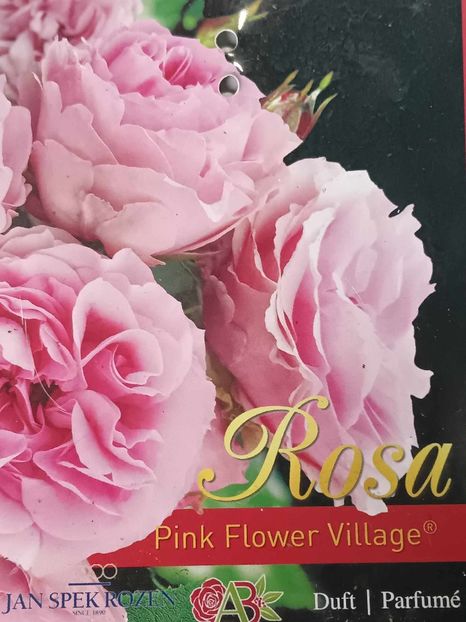 Pink Flower Village -2 - PINK FLOWER VILLAGE