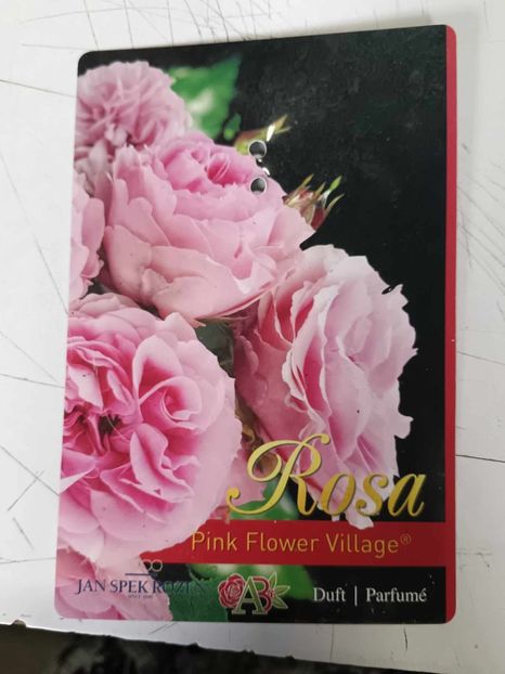 Pink Flower Village -3 - PINK FLOWER VILLAGE