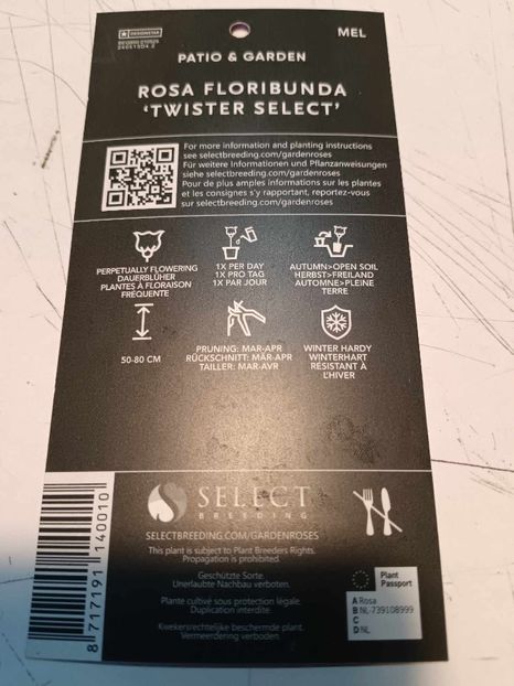  - TWISTER SEELECT