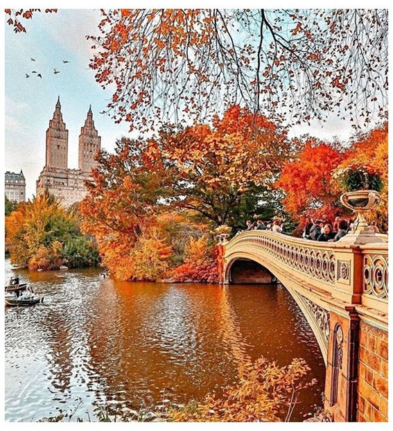 ♡ Sᥱρtᥱmbᥱr 20 » „Oh, love, let me see inside your heart, all the cracks and broken parts, the - Incredibly Nostalgic