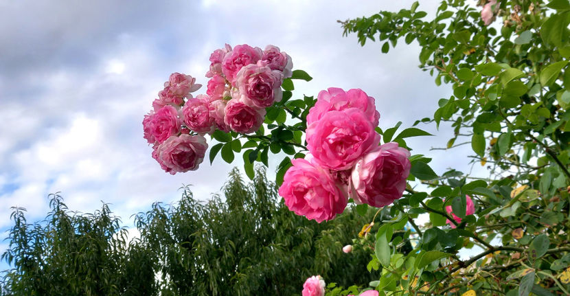  - 2024 - 03 - Toamna