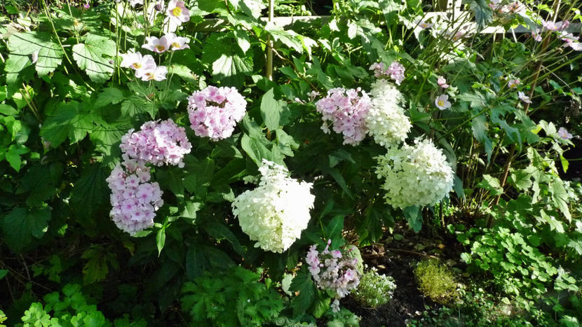  - 2024 - 03 - Toamna