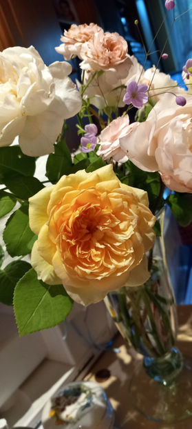  - 2024 - 03 - Toamna