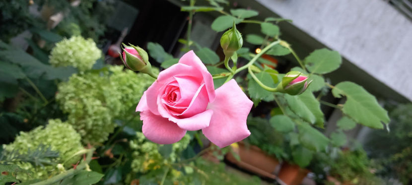  - 2024 - 03 - Toamna