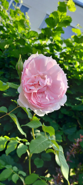  - 2024 - 03 - Toamna