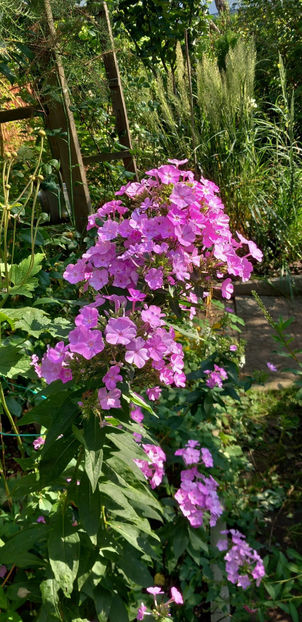  - 2024 - 03 - Toamna