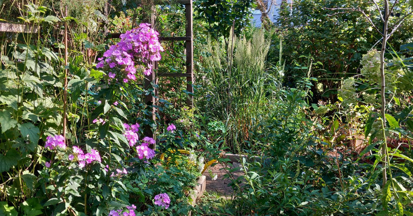  - 2024 - 03 - Toamna