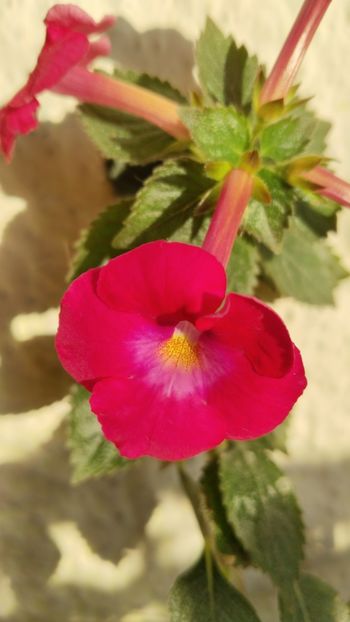  - 2024-BriD s Beauty