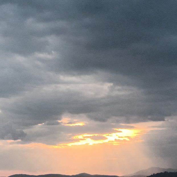  - Natura văzuta prin ochii mei