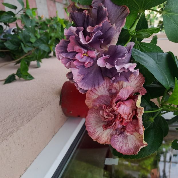  - Diamonds are forever