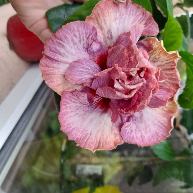  - Diamonds are forever