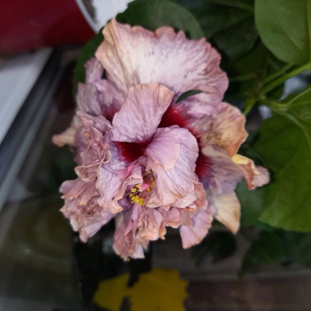  - Diamonds are forever