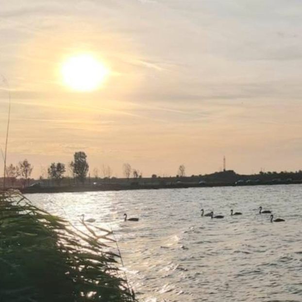 Boldesti 2024 - BALTI