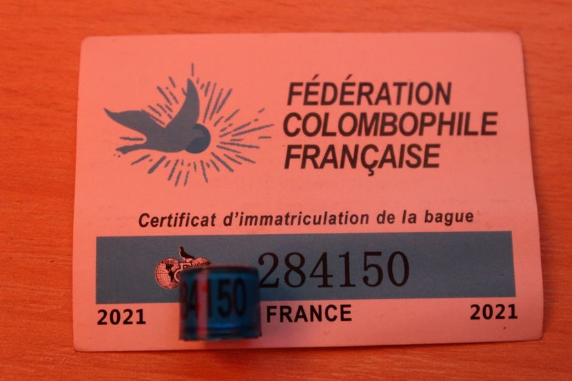 FR 2o21 - FRANCA FR