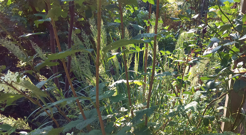  - 2024 - 03 - Toamna