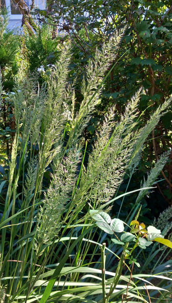  - 2024 - 03 - Toamna