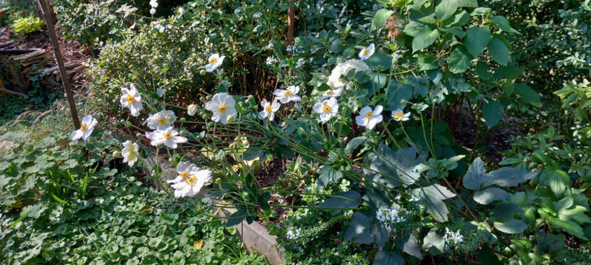  - 2024 - 03 - Toamna