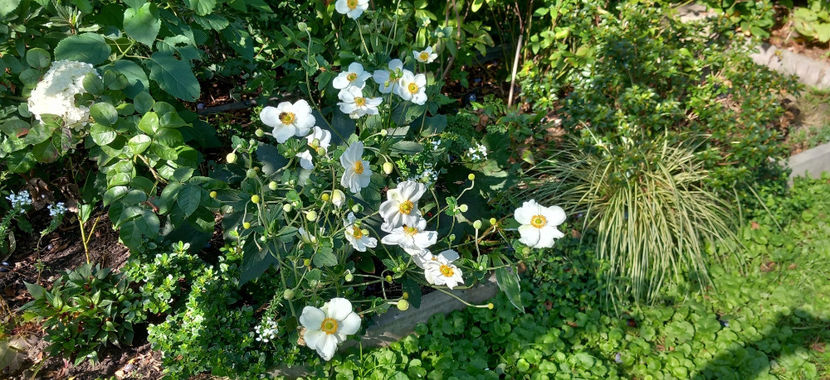  - 2024 - 03 - Toamna