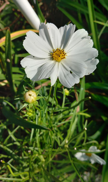  - 2024 - 03 - Toamna