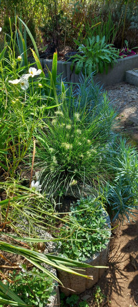  - 2024 - 03 - Toamna