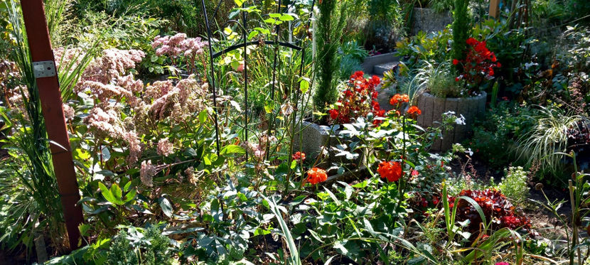  - 2024 - 03 - Toamna