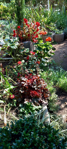  - 2024 - 03 - Toamna