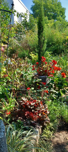  - 2024 - 03 - Toamna