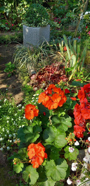  - 2024 - 03 - Toamna