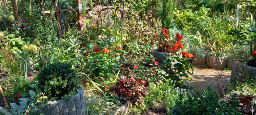  - 2024 - 03 - Toamna