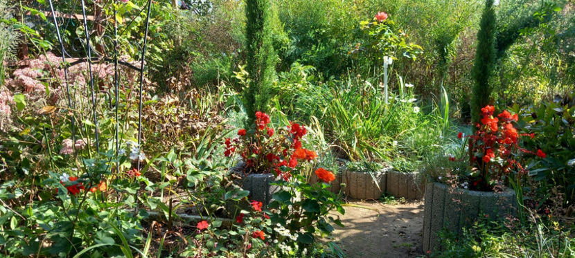  - 2024 - 03 - Toamna