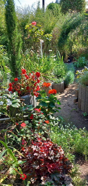  - 2024 - 03 - Toamna