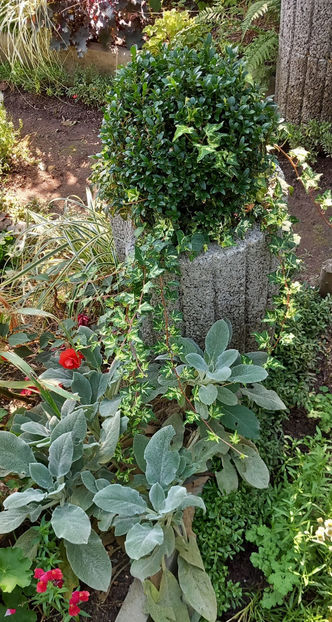  - 2024 - 03 - Toamna