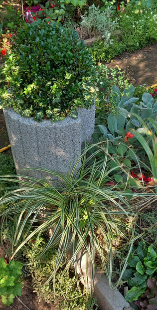  - 2024 - 03 - Toamna