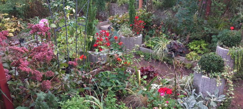  - 2024 - 03 - Toamna