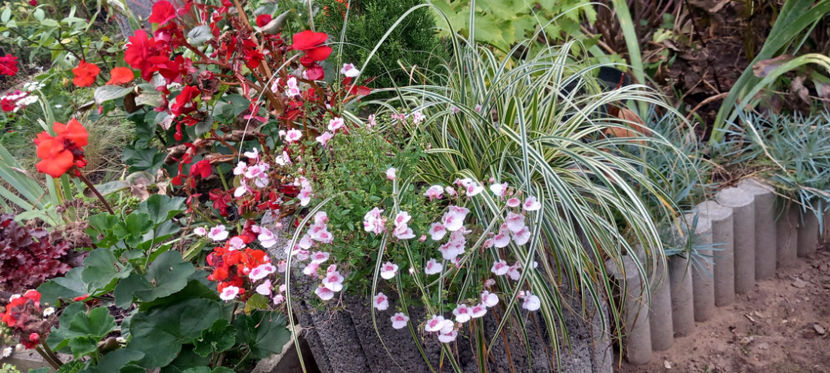  - 2024 - 03 - Toamna