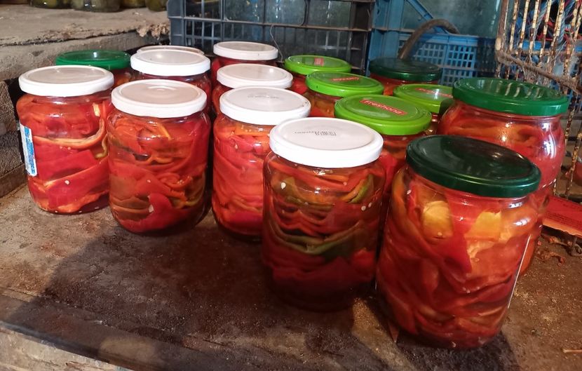 Ardei kapia murati fara sterilizare - Retete 2