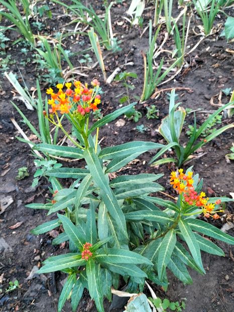 IMG20240905184148 - Septembrie 2024