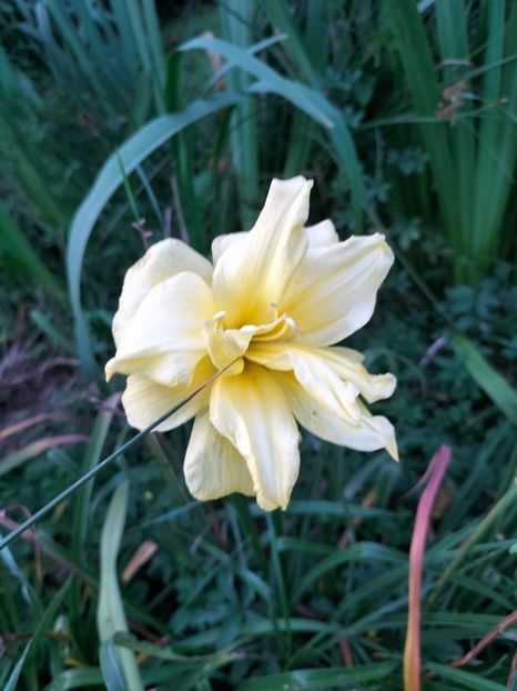 IMG20240712211134 - Septembrie 2024